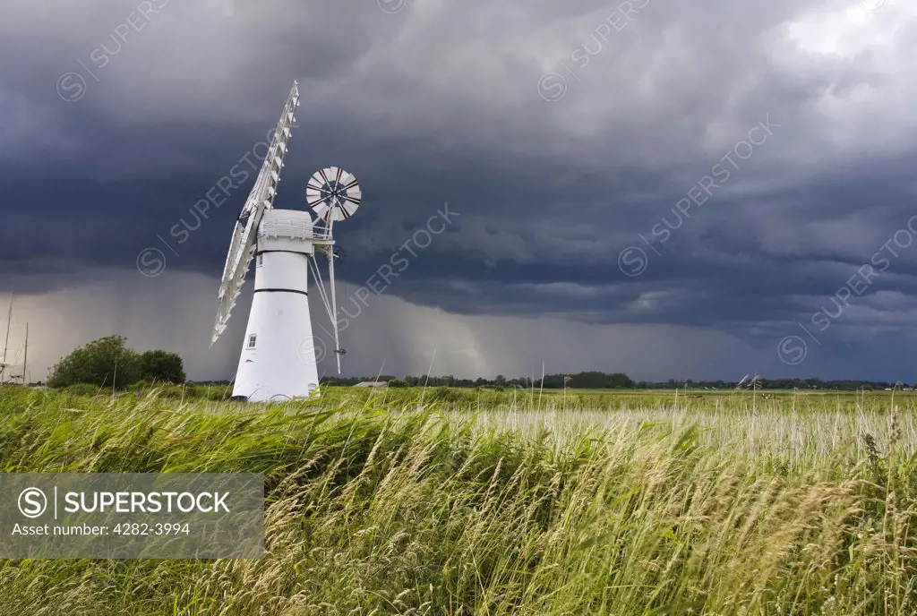 England, Norfolk, Thurne. Thurne Windmill during a storm on the Norfolk Broads.
