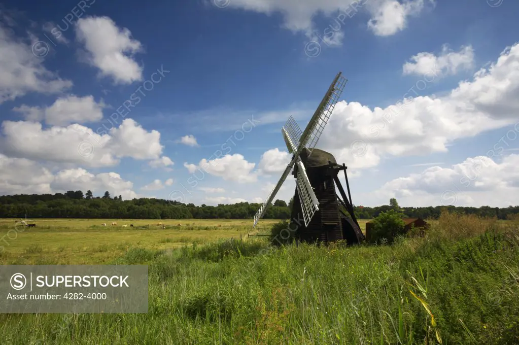 England, Norfolk, Herringfleet. Herringfleet windmill located on the Norfolk and Suffolk Broads.