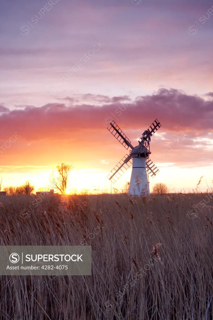England, Norfolk, Thurne. Thurne Mill at sunset on the Norfolk Broads