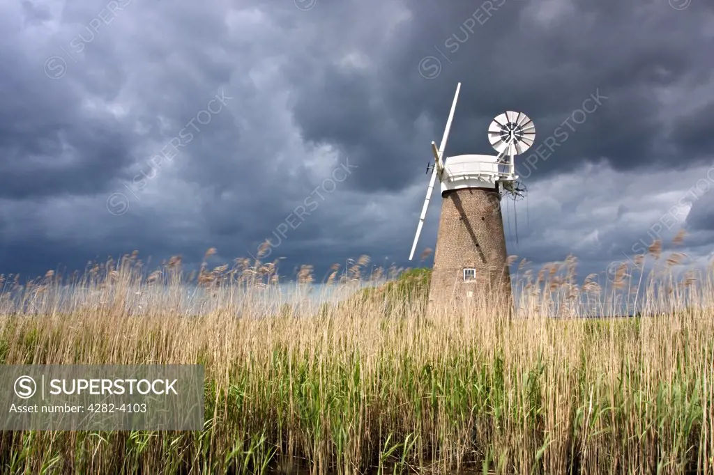 England, Norfolk, Hardley Marshes. Storm clouds over the newly restored Hardley Drainage Mill on the Norfolk Broads.