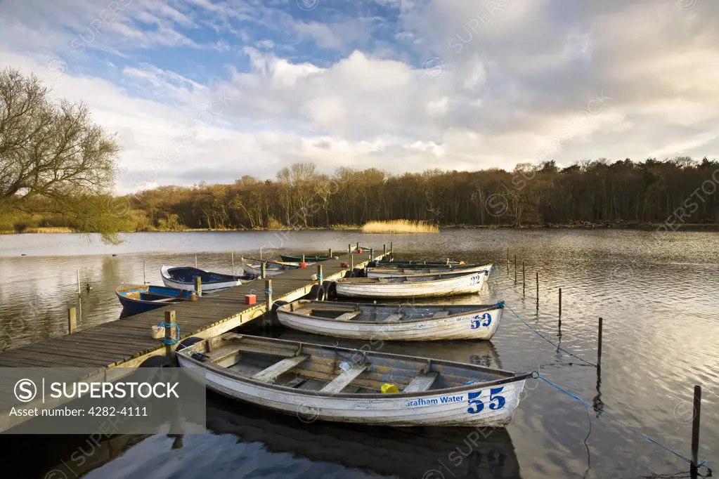 England, Norfolk, Ormesby Broad. Rowing boats tied to a jetty on Ormesby Broad in the Broads National Park in Norfolk.