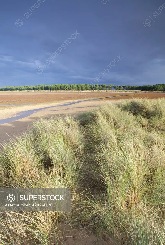 England, Norfolk, Holkham Bay. Sand dunes at Holkham Bay on the North Norfolk Coast.