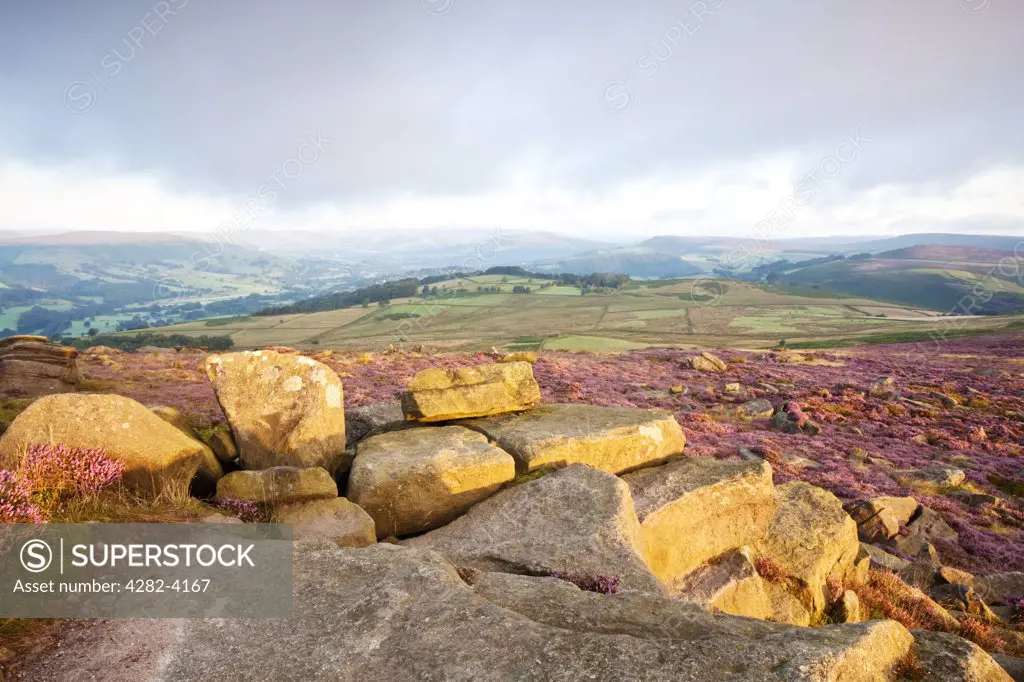 England, Derbyshire, Longshaw Estate. A landscape view over heather of the Peak District National Park from Owler Tor.