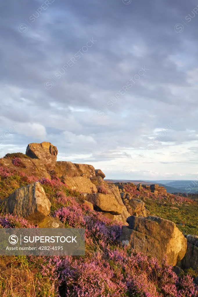 England, Derbyshire, Carhead Rocks. The Knuckle Stone on Carhead Rocks in the Peak District National Park.