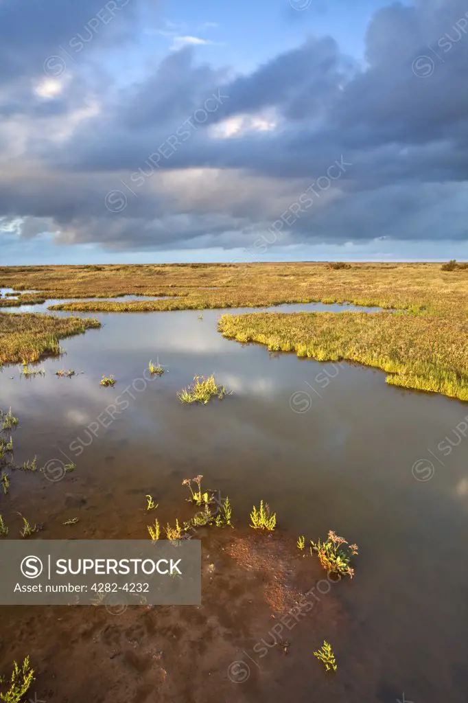 England, Norfolk, Stiffkey. The salt marshes of Stiffkey on the North Norfolk Coast.