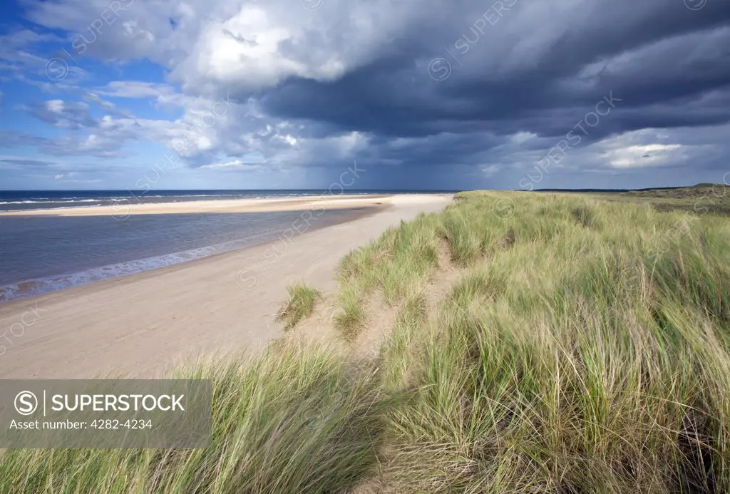 England, Norfolk, Burnham Overy. The sand dunes between Burnham Overy Beach and Holkham on the North Norfolk Coast.