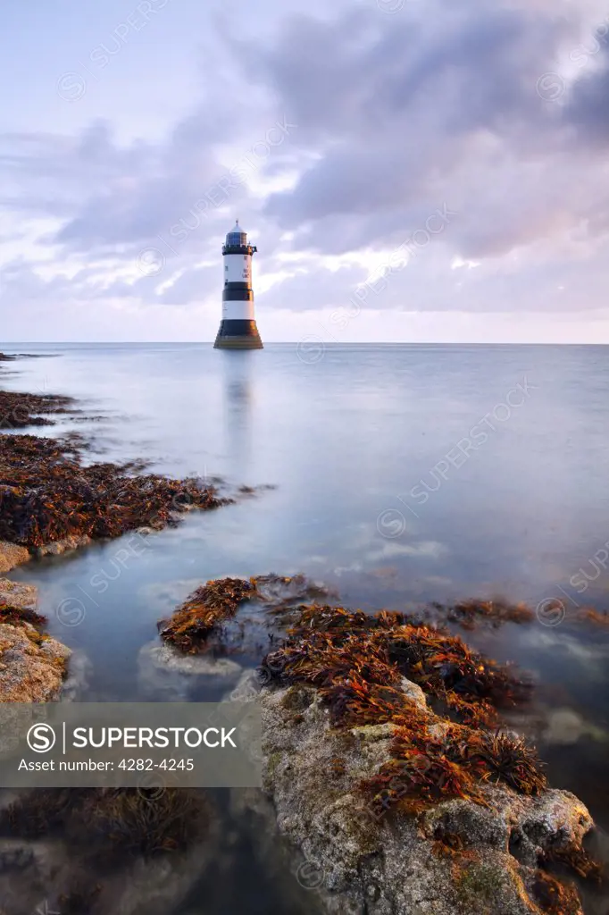 Wales, Isle of Anglesey, Penmon. A view of Penmon Lighthouse at dawn on the coast of Anglesey in North Wales.
