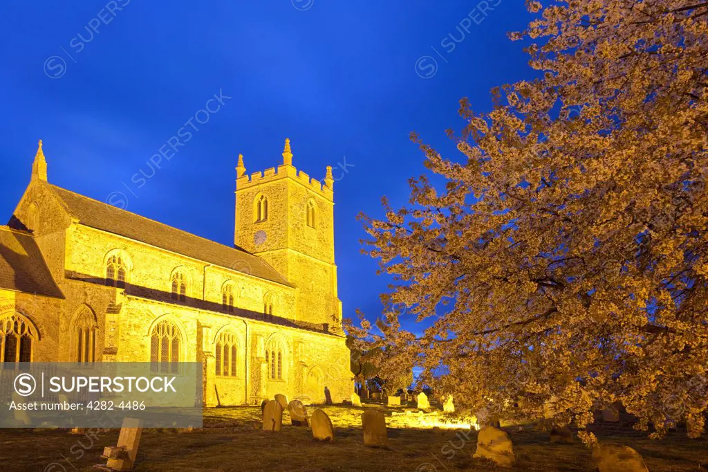 England, Norfolk, East Winch. The Parish Church of All Saints at East Winch, illuminated at night.