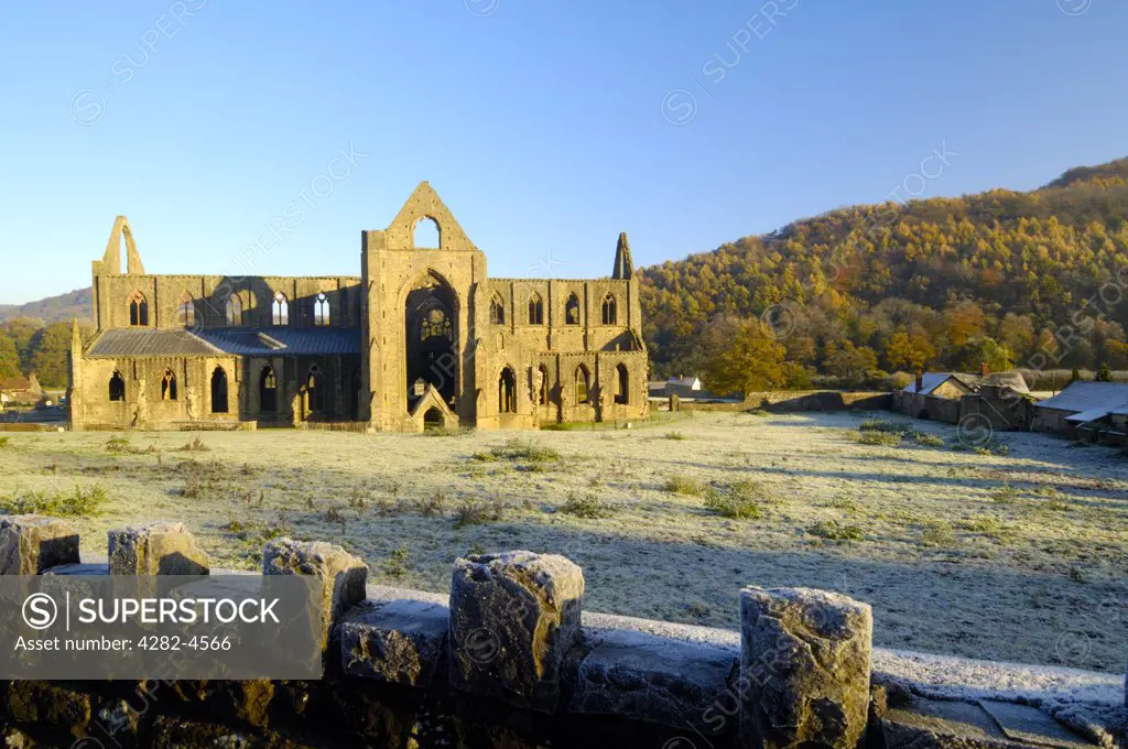 Wales, Monmouthshire, Tintern. The ruins of Tintern Abbey. The Abbey was only the second Cistercian foundation in Britain, and the first in Wales, and was founded on the 9th of May 1131.