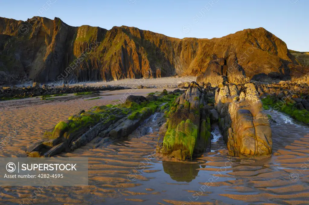 England, Cornwall, Bude. Rocks and cliffs at Sandymouth beach. It is a large pebbled beach with lots of sand at lower tides when it connects up with other Bude beaches.