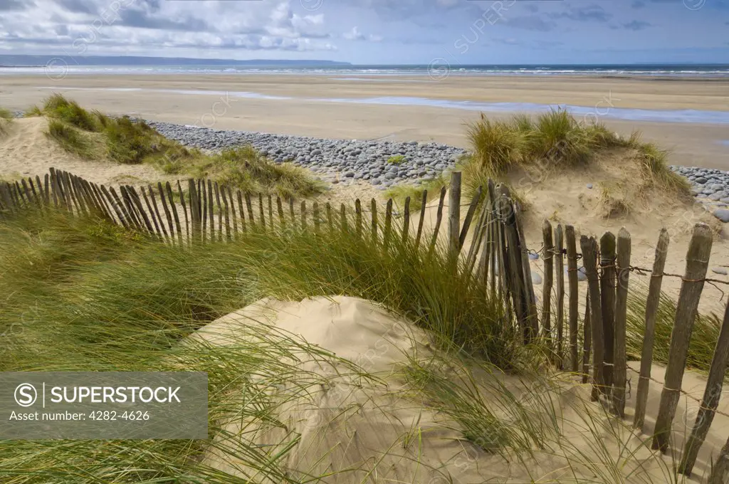 England, Devon, Westward Ho!. Sand dunes at Northam Burrows on the South West Coast Path. The Northam Burrows is a Site of Special Scientific Interest and consists of 253 hectares.