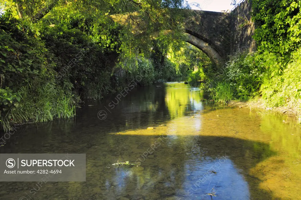 England, Somerset, Bruton. The fifteenth century packhorse bridge over the River Brue.