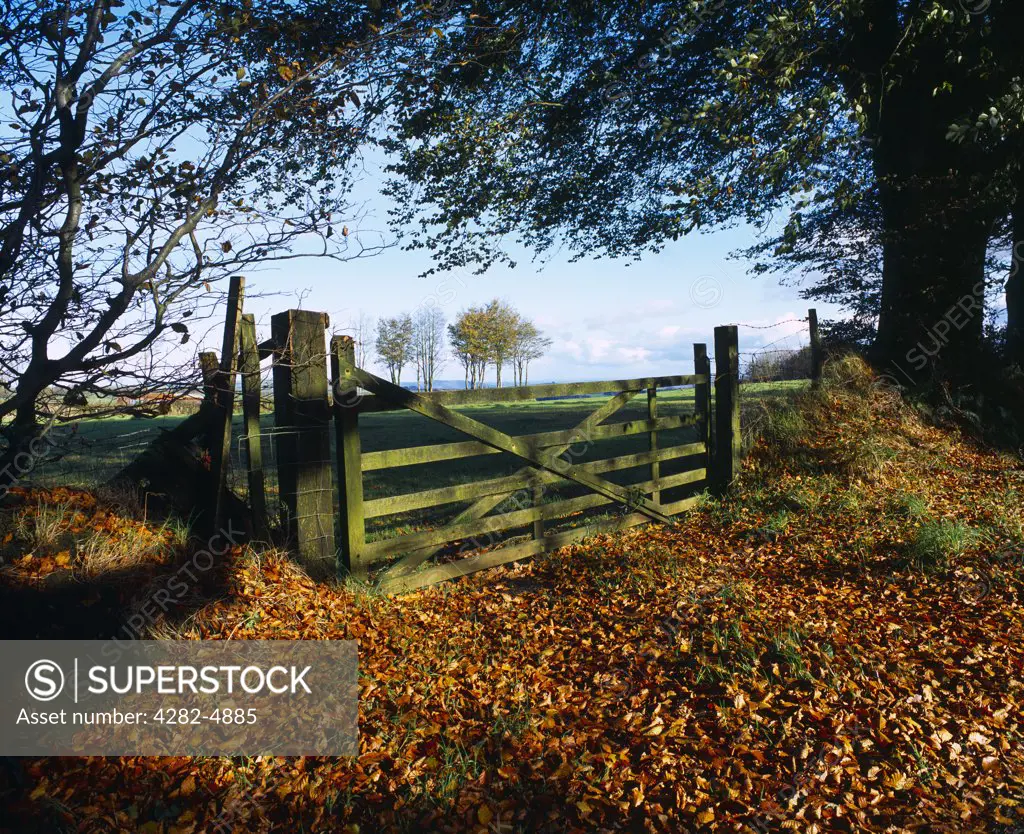 England, Somerset, Clatworthy. A wooden gate in the Brendon Hills on the edge of Exmoor National Park near Clatworthy.