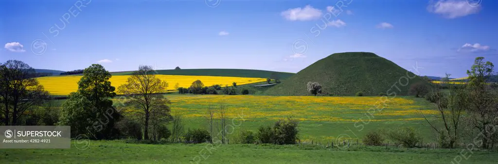 England, Wiltshire, Avebury. The ancient man made Neolithic chalk mound of Silbury Hill surrounded by fields of dandelions and rapeseed near Avebury in Wiltshire.