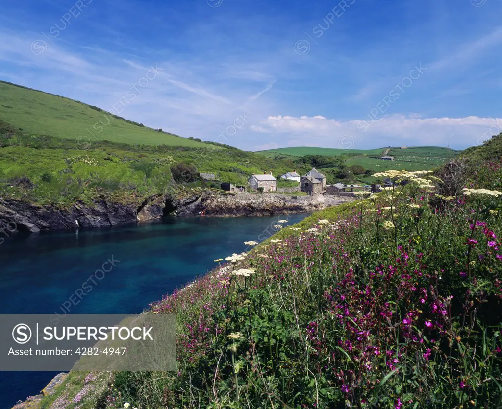 England, Cornwall, Port Quin. The Hamlet of Port Quin on the North Cornwall coast near Port Isaac.