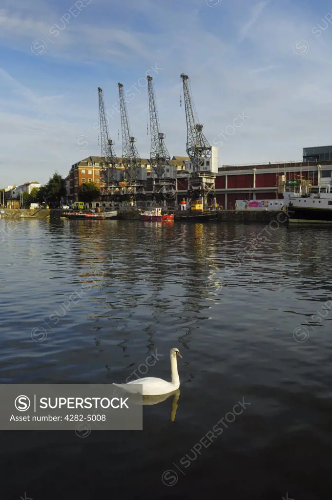 England, Bristol, Bristol. Cranes on Princes Wharf at the Floating Harbour.