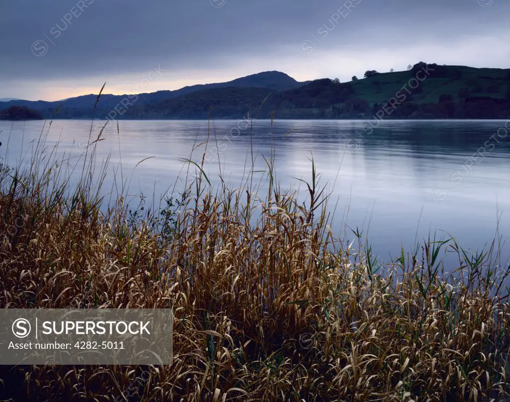 England, Cumbria, Coniston. Coniston Water in the Lake District National Park viewed from the East side.
