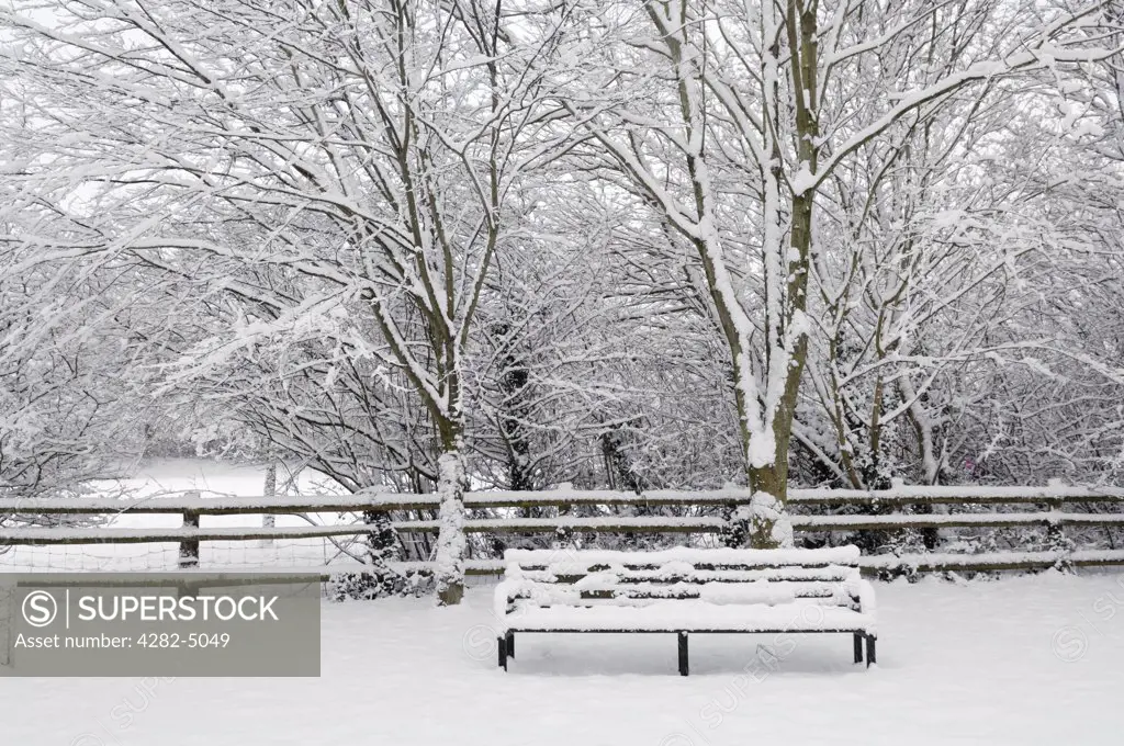 England, Somerset, Wrington. Winter snow in a village park.