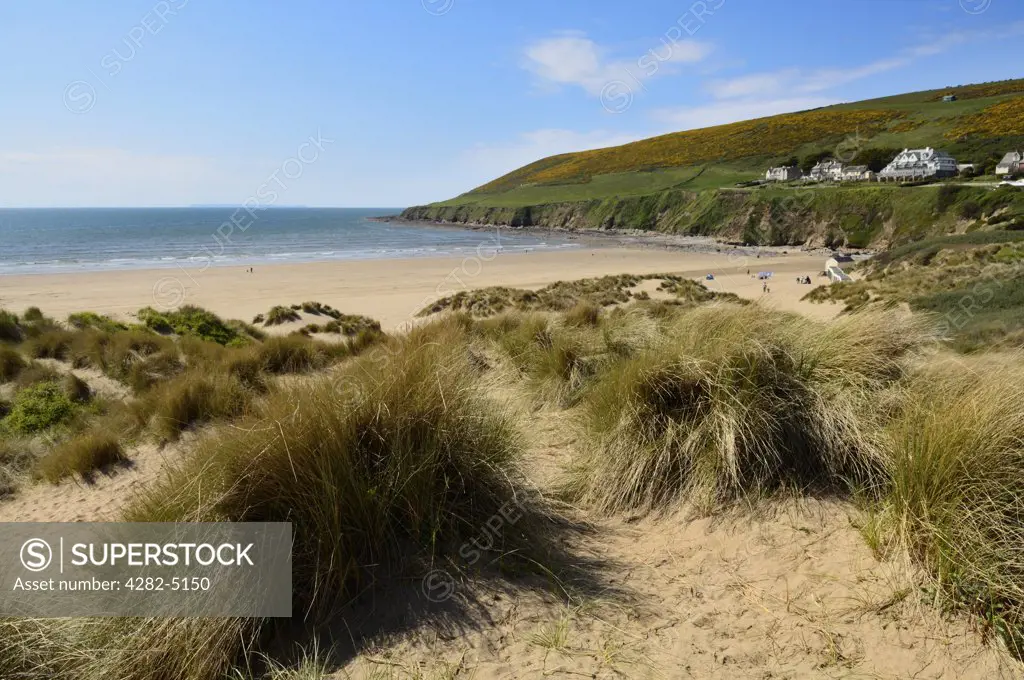 England, Devon, Braunton. Braunton Burrows sand dunes at Saunton near Braunton on the North Devon coast.