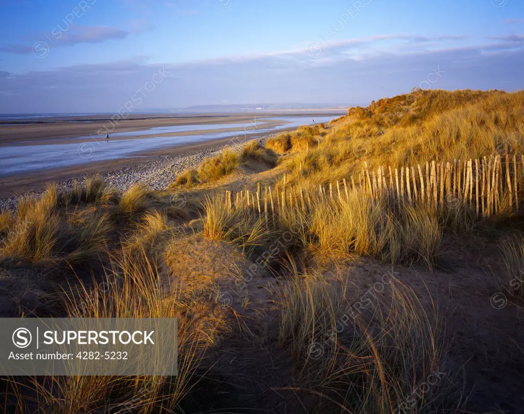 England, Devon, Westward Ho!. Northam Burrows sand dunes at Westward Ho!, on the North Devon coast.