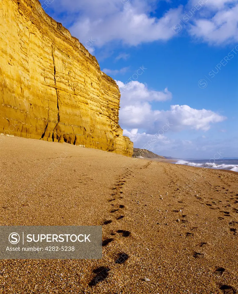 England, Dorset, Burton Bradstock. Footprints on Burton Beach at Burton Bradstock on the Dorset Jurassic Coast.