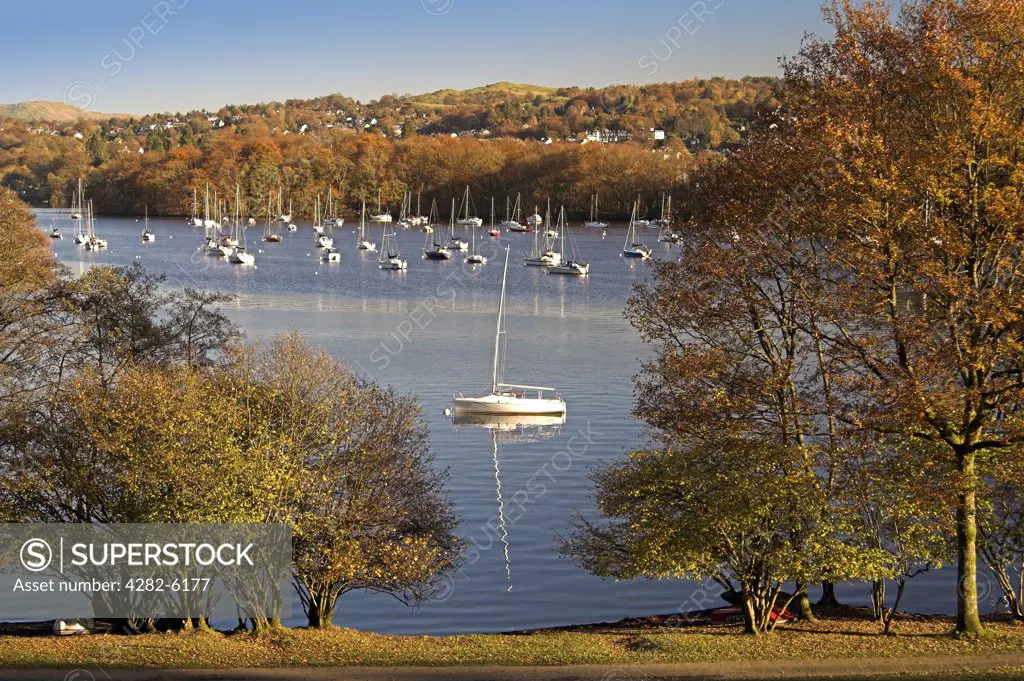 England, Cumbria, Lake Windemere. Boats on Lake Windemere and autumn colour.