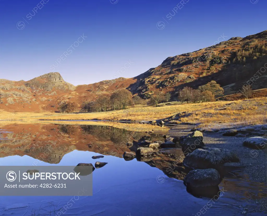 England, Cumbria, Langdale Valley. Looking across the icy shore of Blea Tarn towards the distinctive rounded shape of Side Pike.