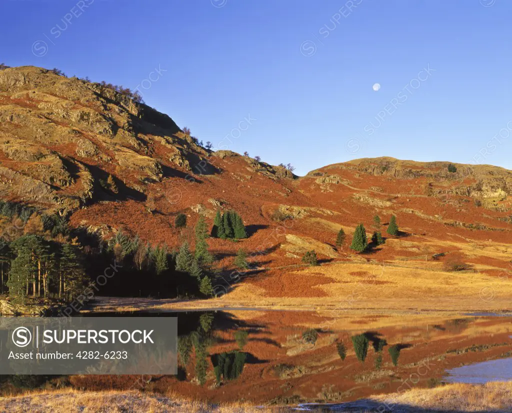 England, Cumbria, Langdale Valley. The moon sets over a flat calm Blea Tarn on a winter day.