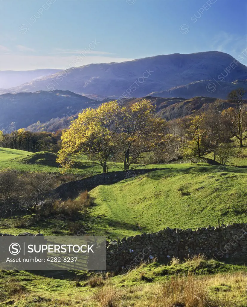 England, Cumbria, Tarn Hows. The lakeland fells north of Tarn Hows with Wetherlam in the distance.