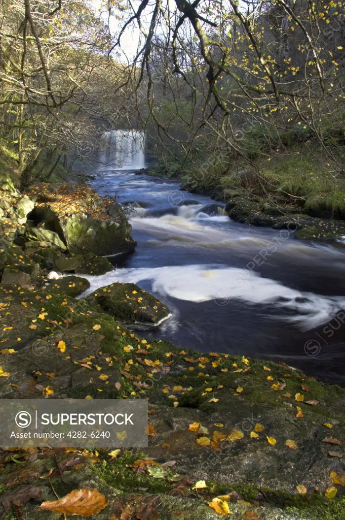Wales, Powys, Ystradfellte. The Hepste river with Sgwd Yr Eira waterfall in the background.