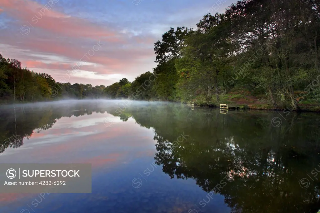 England, Gloucestershire, Cannop. Cannop Pond at dawn.