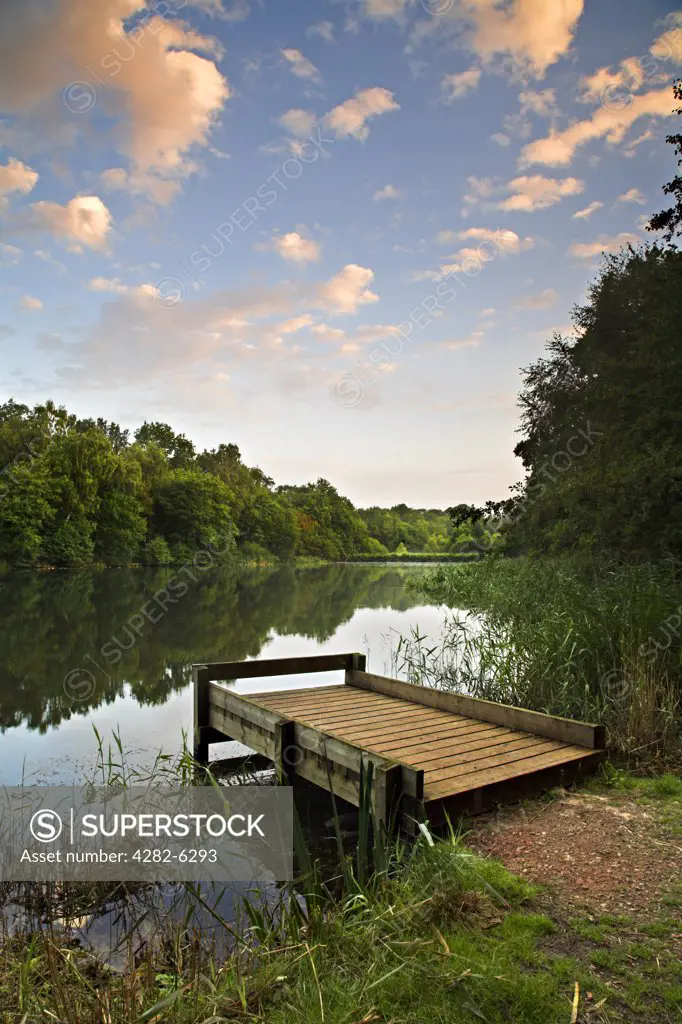 England, Gloucestershire, Cinderford. A fishing platform at Cannop Pond.