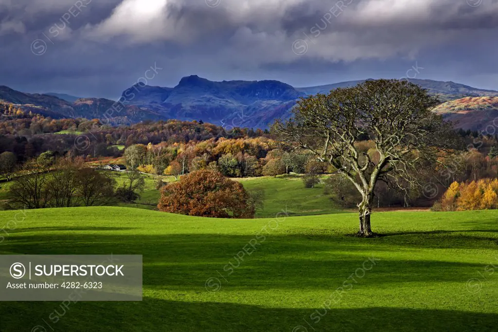 England, Cumbria, Ambleside. The view across the grounds of Wray Castle towards the Langdale Pikes.