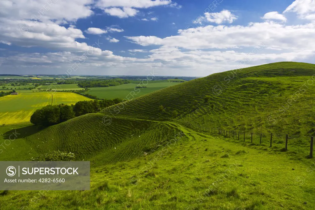 England, Wiltshire, near Alton Barnes. Pewsey Downs on the southern edge of the Marlborough Downs overlooking Pewsey Vale.