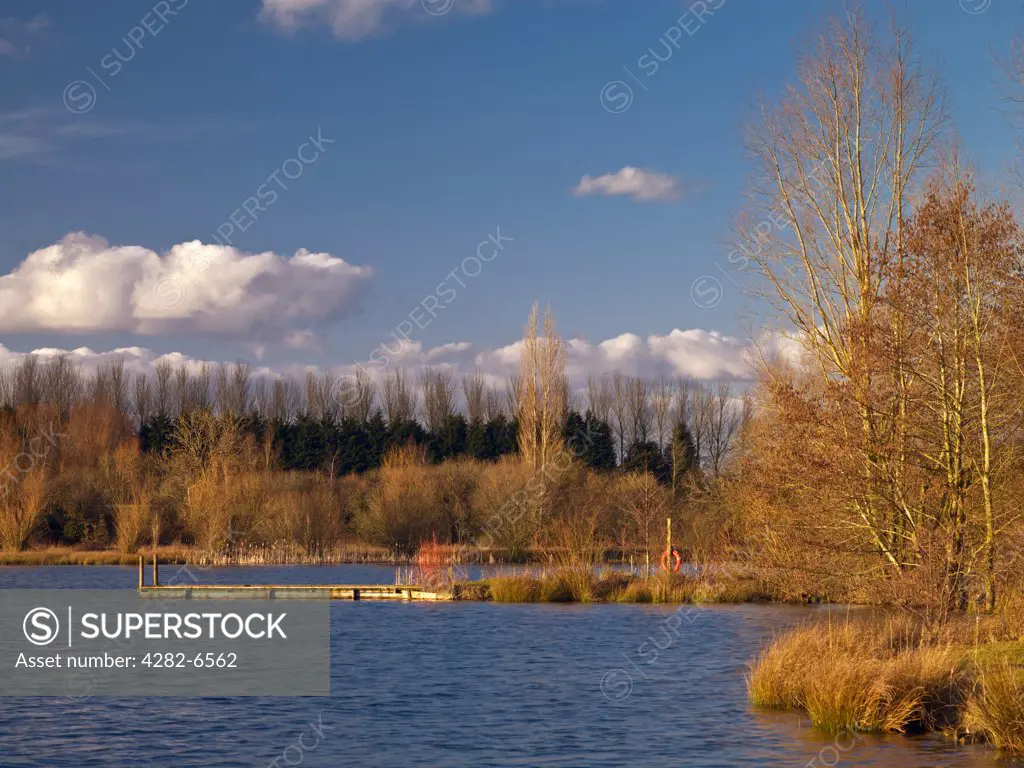 England, Wiltshire, Lower Moor Farm Nature Reserve. A winters evening at Mallard Lake, one of only two lakes in Wiltshire to be designated a Site of Special Scientific Interest (SSSI).