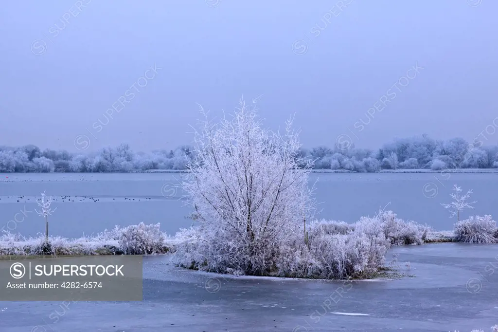 England, Gloucestershire, South Cerney. Heavy frost on the trees and a frozen lake in the Cotswold Water Park.