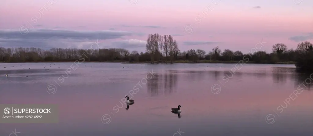 England, Wiltshire, Lower Moor Farm Nature Reserve. Winter sunset over Mallard Lake at the Lower Moor Farm Nature Reserve.