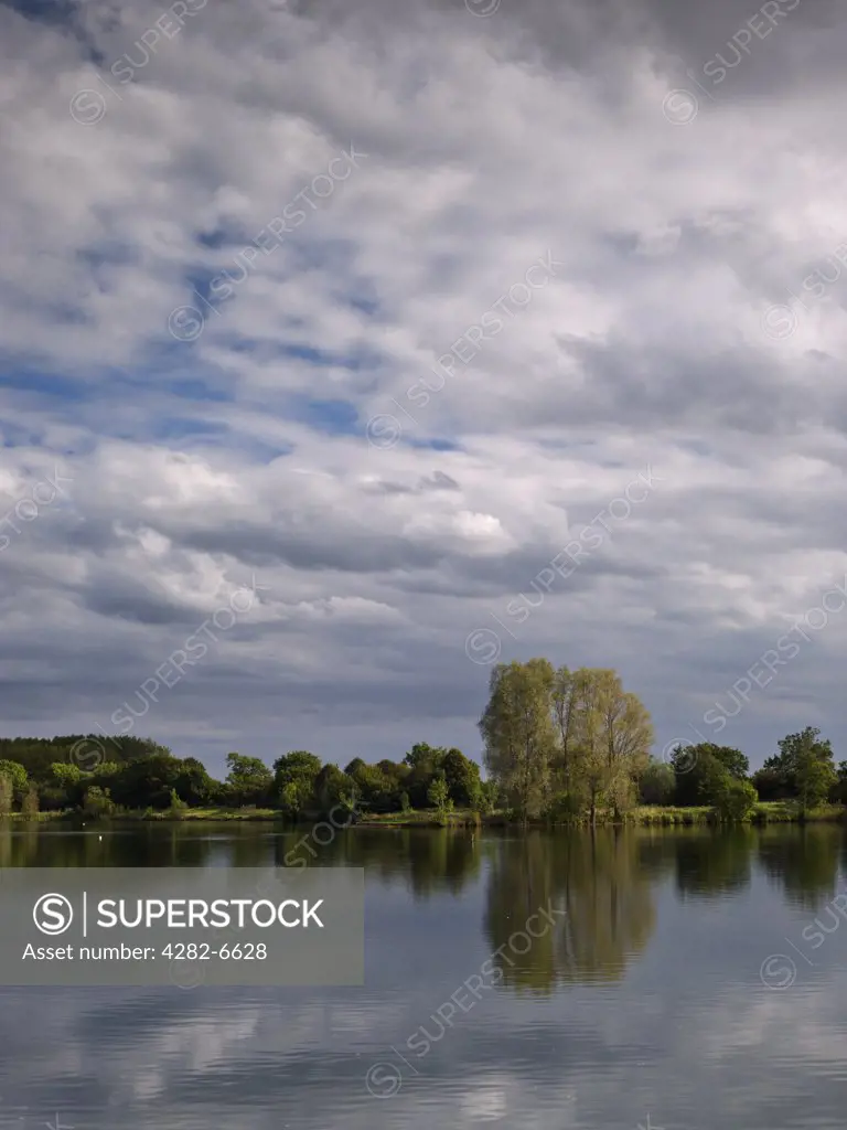 England, Wiltshire, Near Oaksey. Mallard Lake at Lower More Farm, a Wiltshire Wildlife Nature Reserve and part of the Cotswold Water Park.