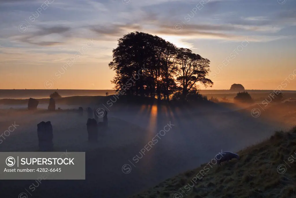 England, Wiltshire, Avebury. Sunrise over Avebury Stone Circle, one of Europe's largest prehistoric stone circles, on a misty autumn day.