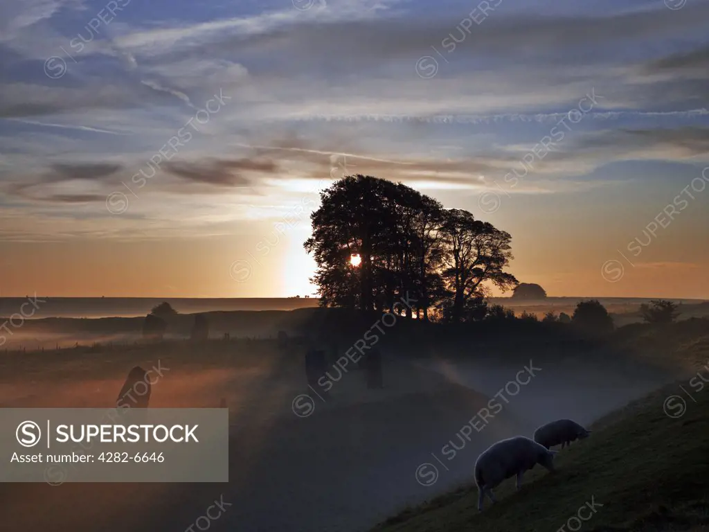 England, Wiltshire, Avebury. Sunrise over Avebury Stone Circle, one of Europe's largest prehistoric stone circles, on a misty autumn day.