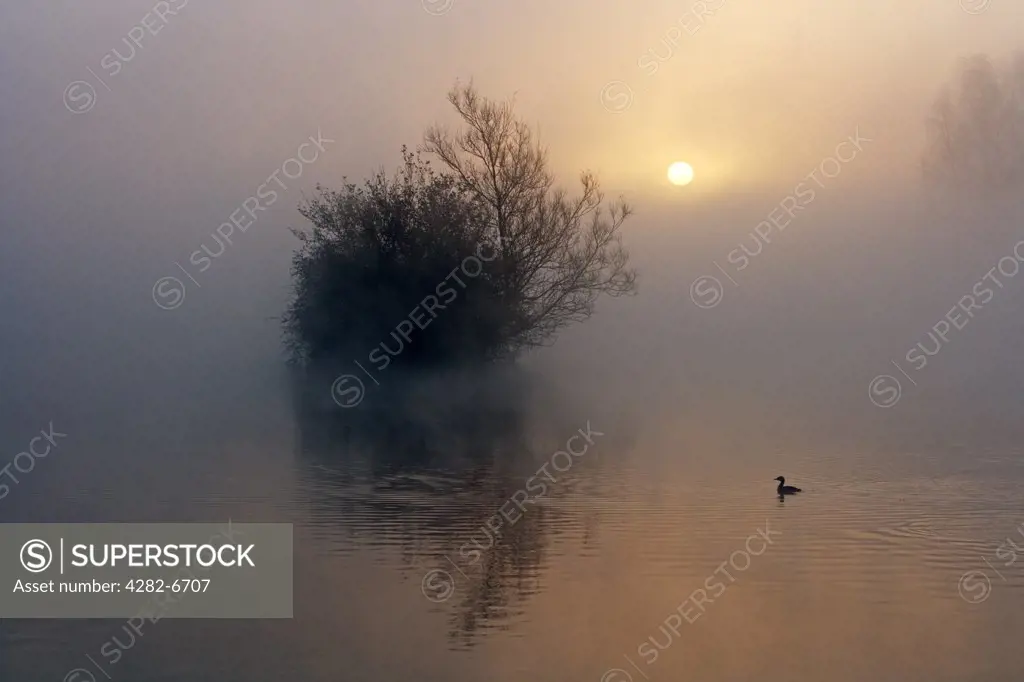 England, Wiltshire, Lower Moor Farm nature reserve. A misty autumnal dawn at Mallard Lake at the Wiltshire Wildlife Trust's new Lower Moor Farm nature reserve.