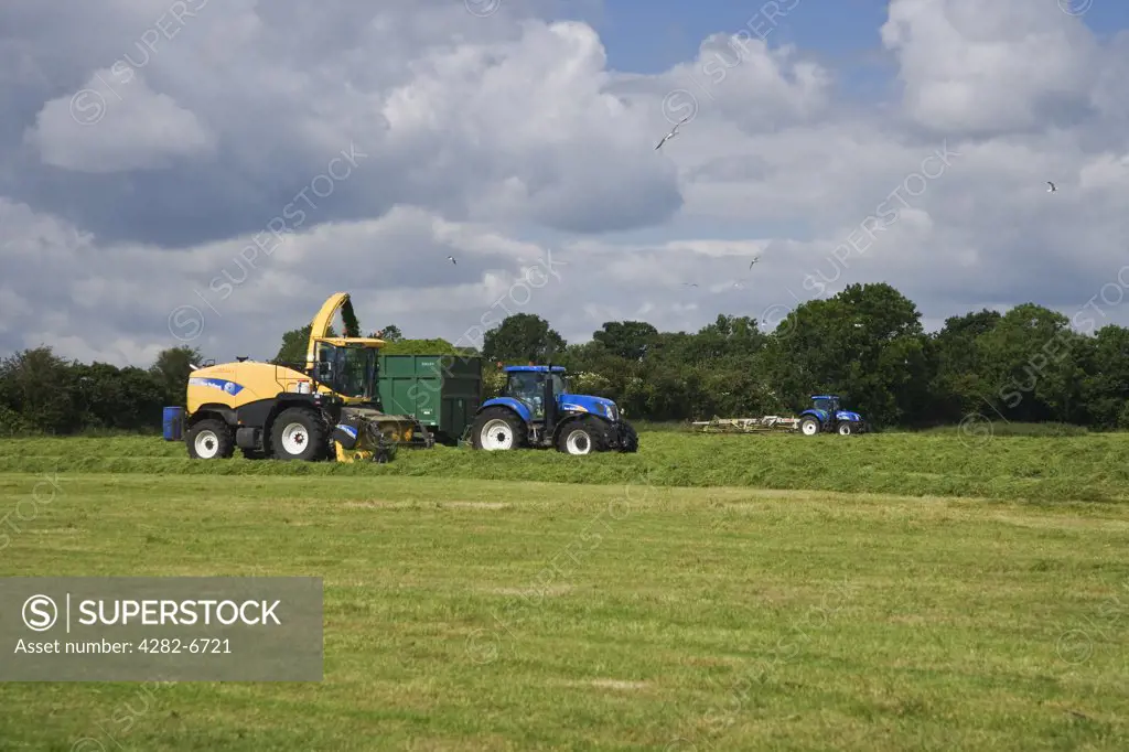 England, Wiltshire, Near Cricklade. Cutting grass for hay at Blakehill Nature Reserve.