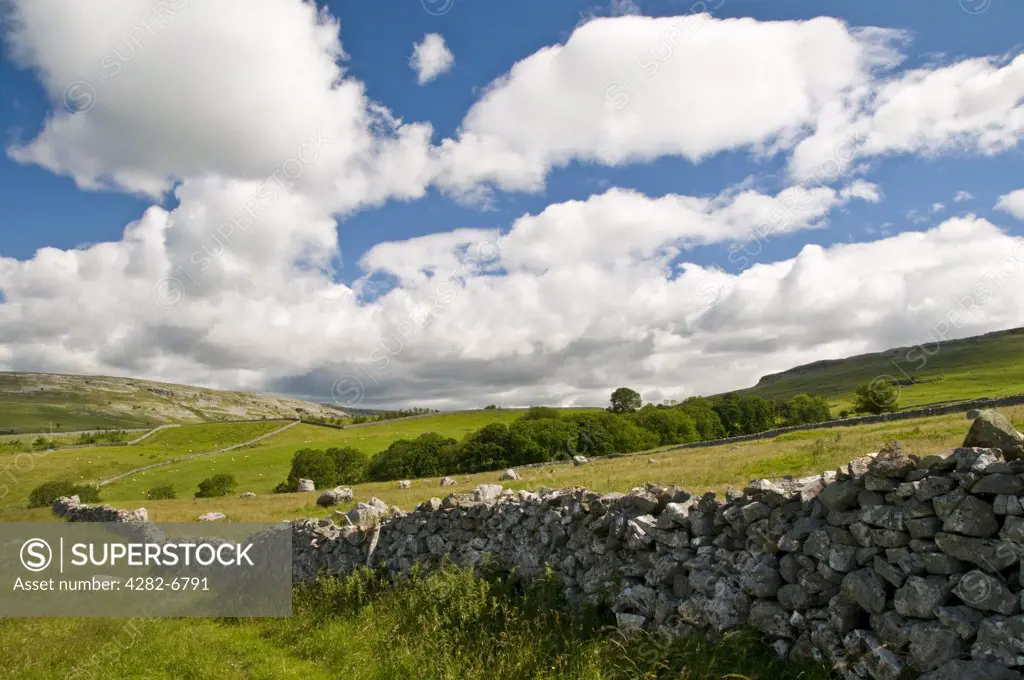 England, North Yorkshire, Ingleton. A traditional drystone wall in the North Yorkshire Dales.