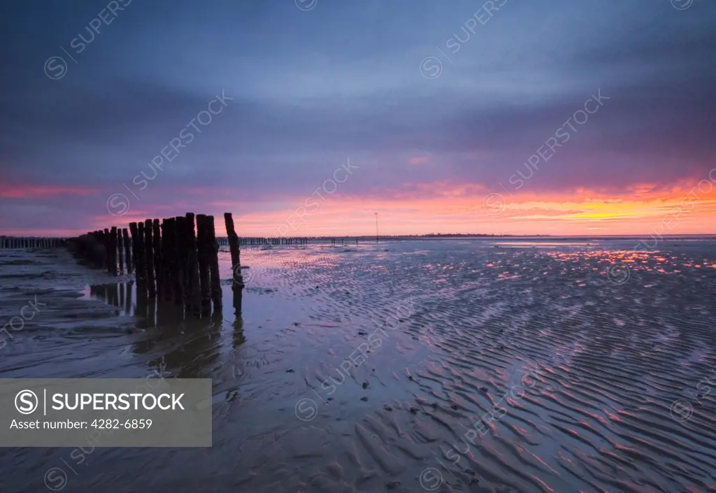 England, Essex, Mersea Island. East Mersea at sunrise. Mersea Island lies between the estuaries of the Rivers Blackwater and Colne, and is said to be the most easterly inhabited Island of Britain.