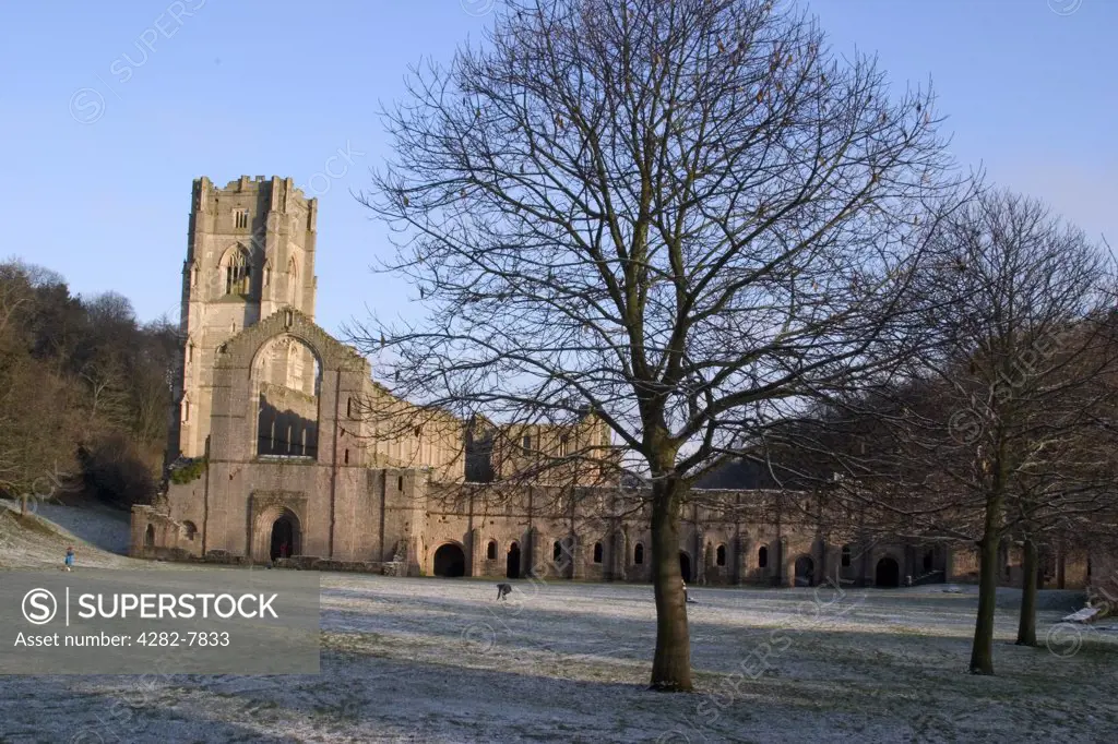England, North Yorkshire, Fountains Abbey. Fountains Abbey with frost.