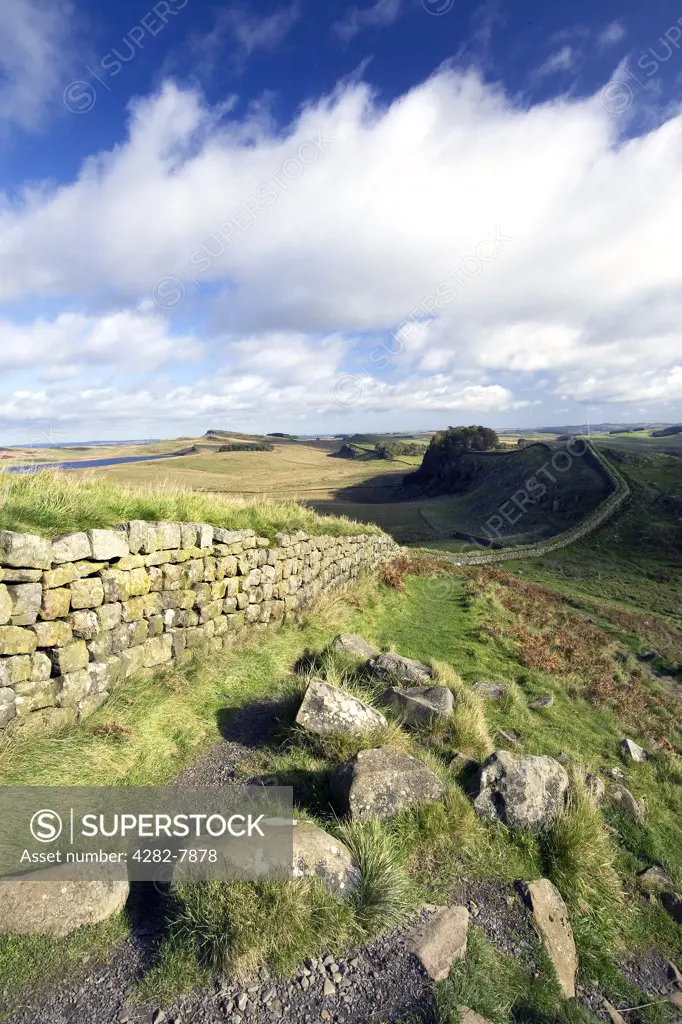 England, Northumberland, Housesteads . Looking east towards Hotbank Crags on Hadrians Wall.