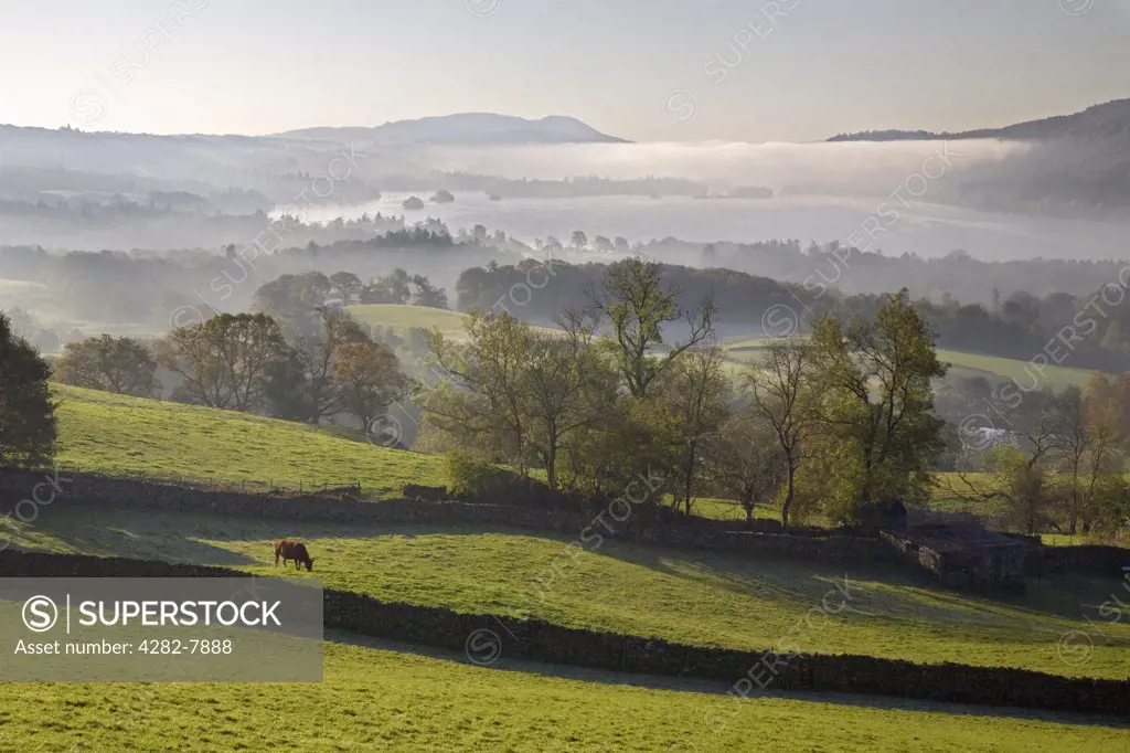 England, Cumbria, Lake Windermere. A view of morning mist hanging over Lake Windermere.
