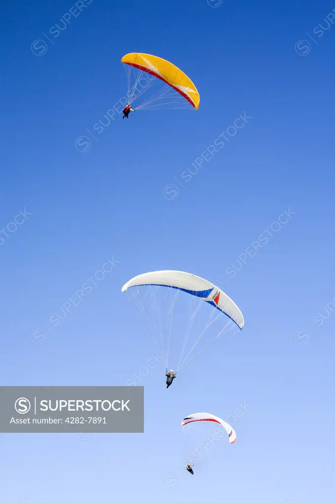 England, East Sussex, Sussex Downs. Paragliders ascend on the thermals above Sussex Downs.