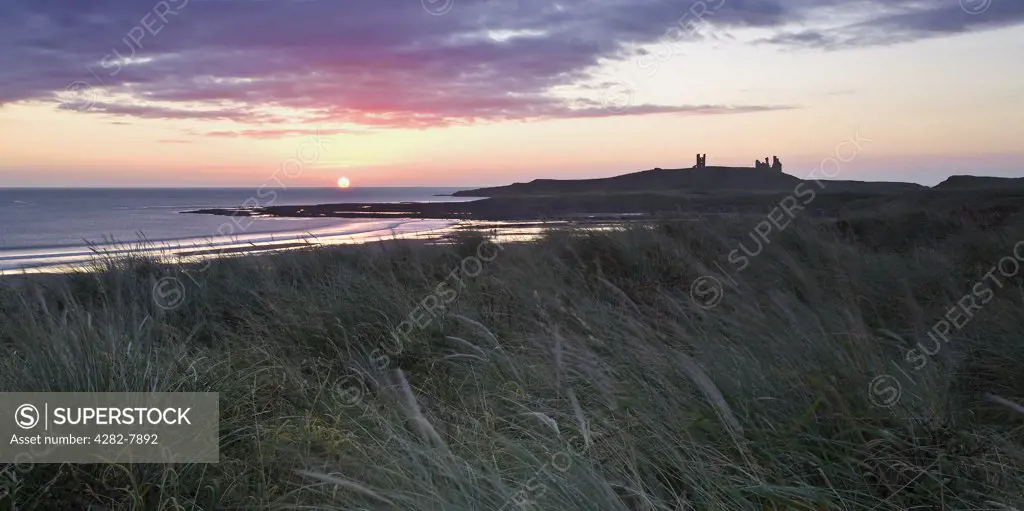 England, Northumberland, Dunstanburgh. Sunrise over the ruins of Dunstanburgh Castle on the wild Northumberland coast.