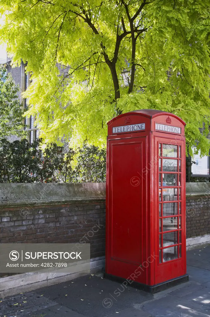 England, London, Westminster. A traditional red phone box against Spring colours in Westminster.